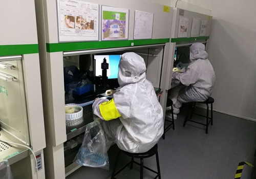 焊（hàn）接熔深檢測分（fèn）析顯微鏡